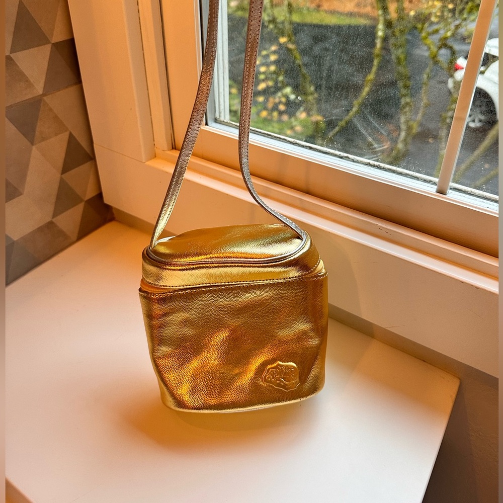 Carlos falchi vintage gold purse with silver strap